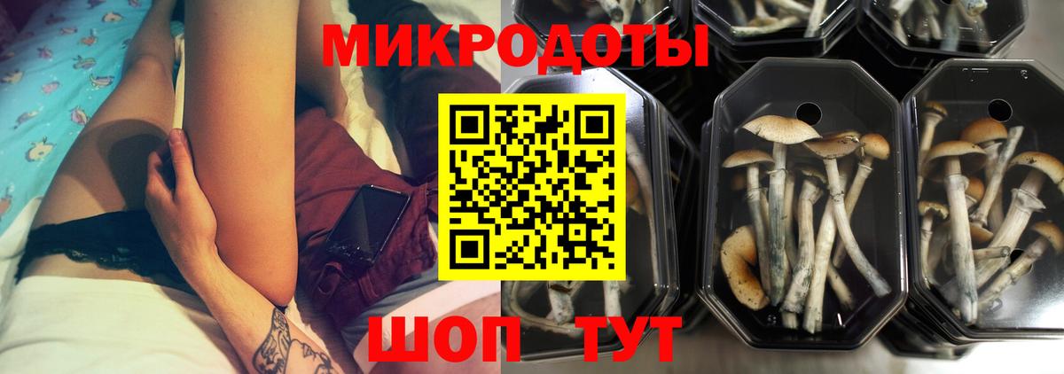 Псилоцибиновые грибы MAGIC MUSHROOMS  Вход с VPN  Отрадное  Псилоцибиновые грибы MAGIC MUSHROOMS 